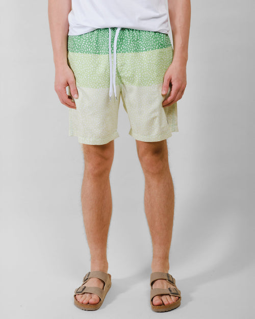 7"  Spotted Stripes Swim Short - Green - View 1